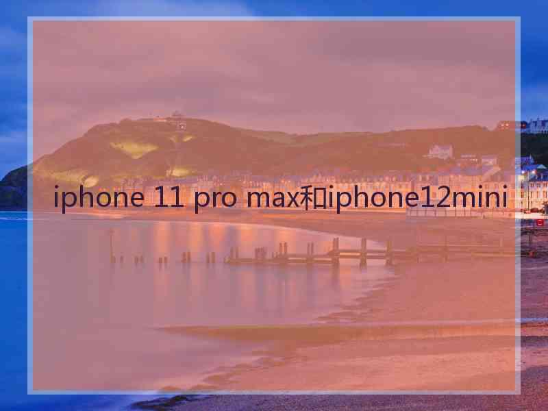 iphone 11 pro max和iphone12mini