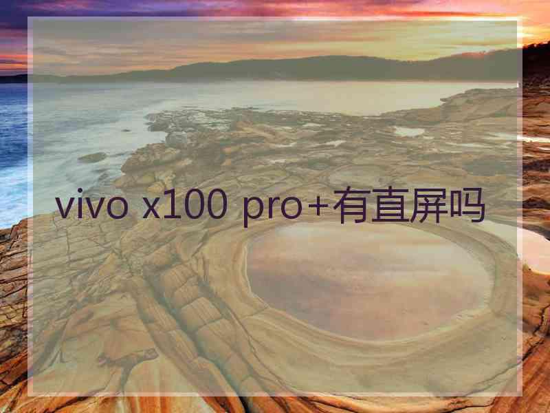 vivo x100 pro+有直屏吗