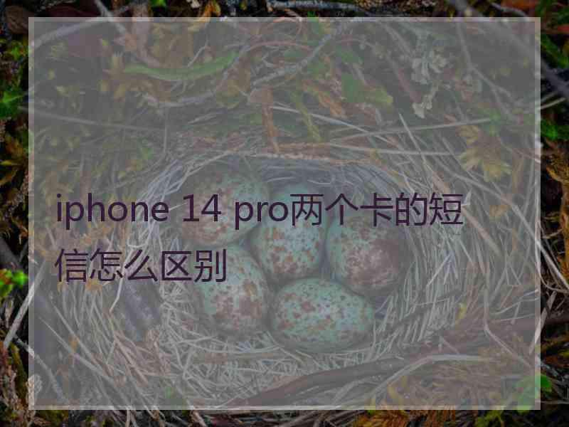 iphone 14 pro两个卡的短信怎么区别