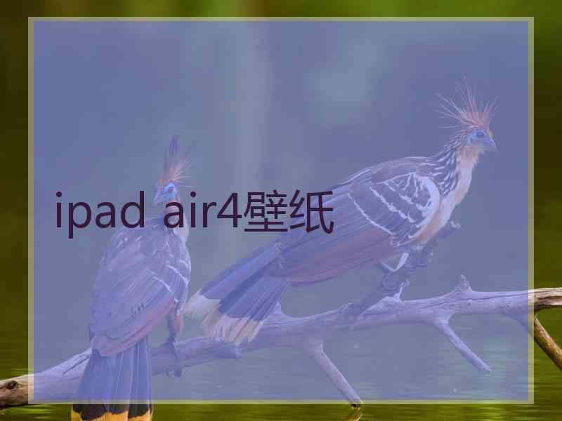 ipad air4壁纸