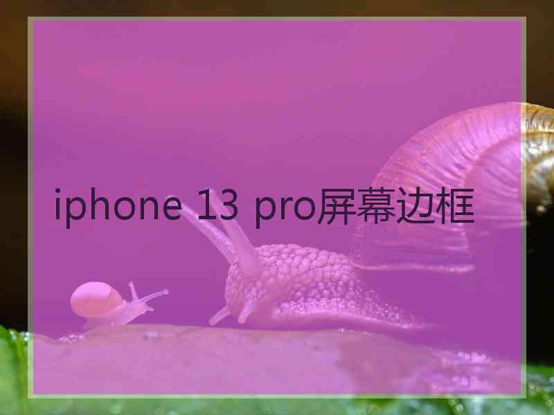 iphone 13 pro屏幕边框