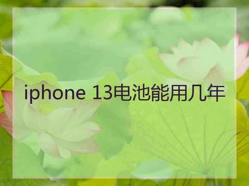 iphone 13电池能用几年