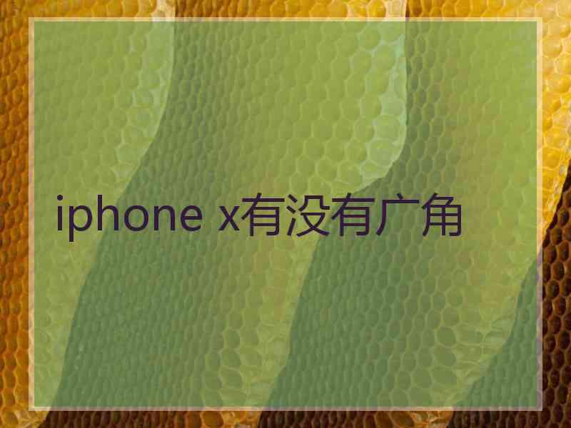 iphone x有没有广角