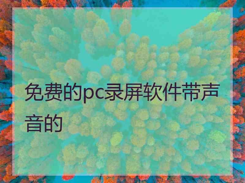 免费的pc录屏软件带声音的