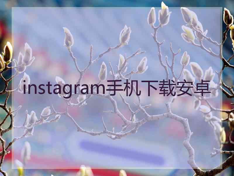 instagram手机下载安卓