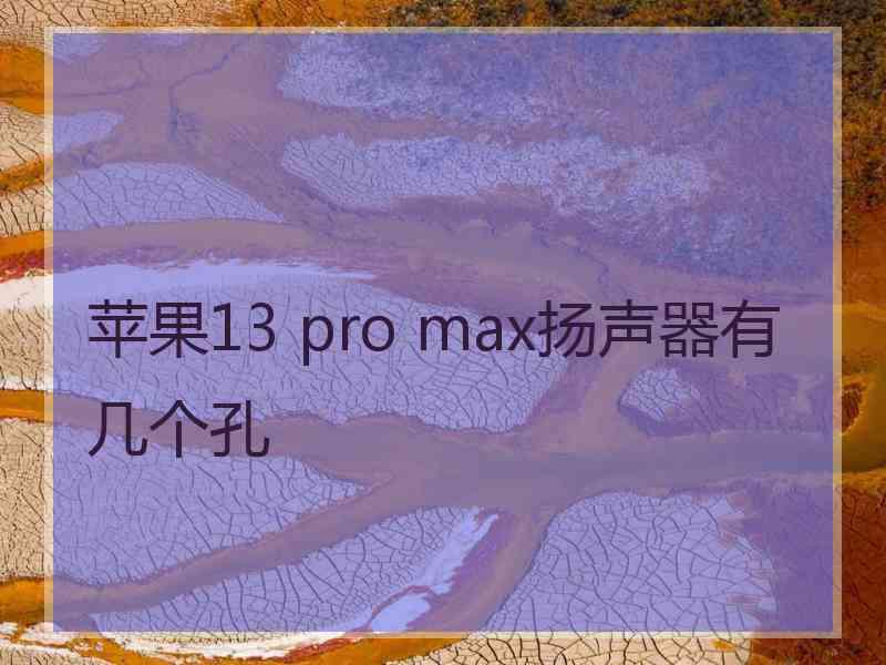 苹果13 pro max扬声器有几个孔