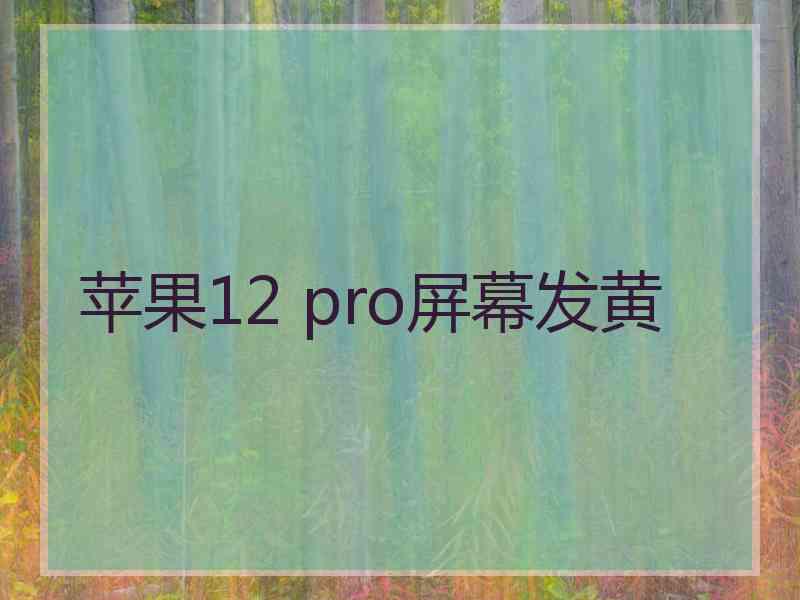 苹果12 pro屏幕发黄