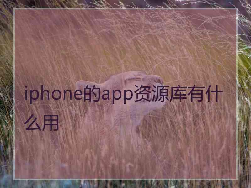 iphone的app资源库有什么用