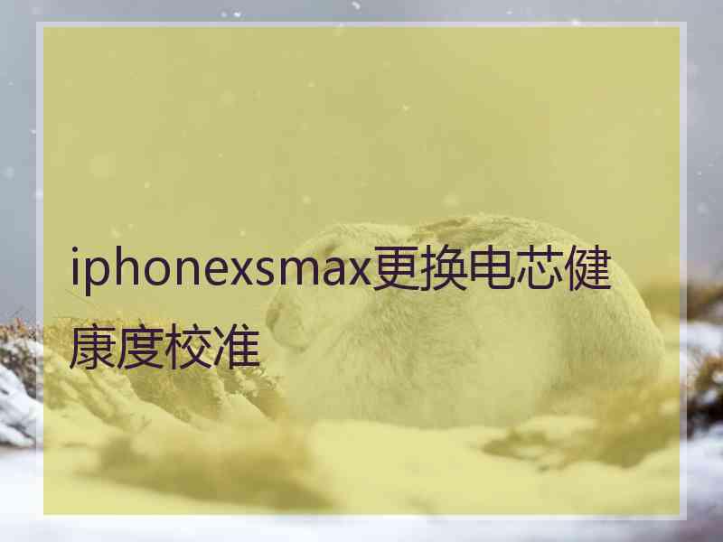 iphonexsmax更换电芯健康度校准