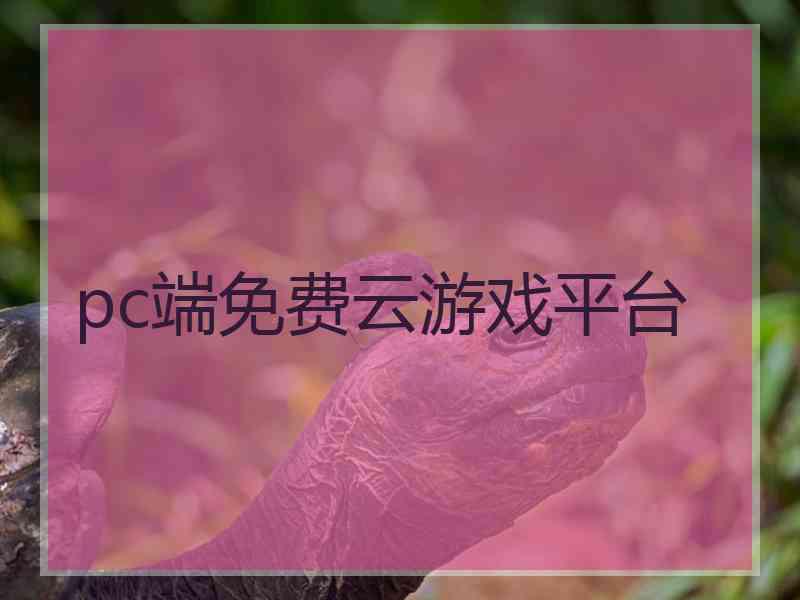 pc端免费云游戏平台