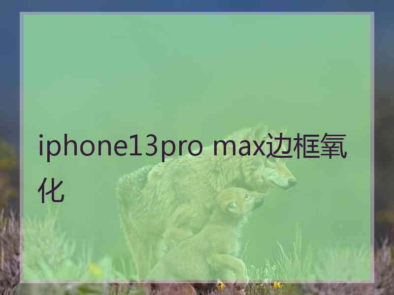 iphone13pro max边框氧化