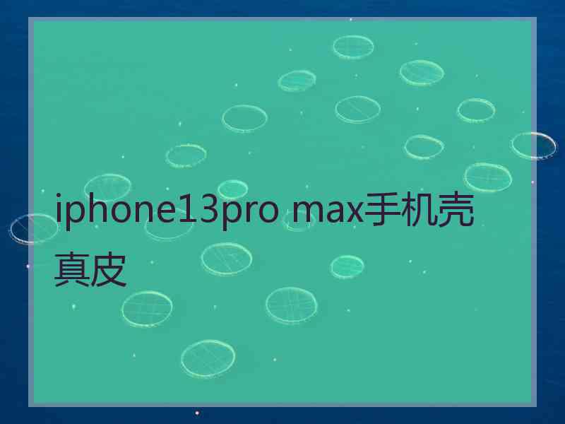 iphone13pro max手机壳 真皮