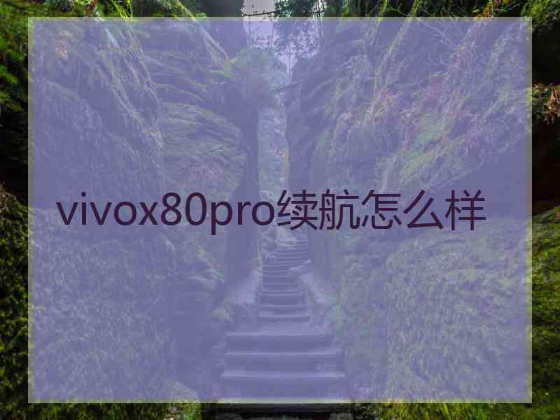 vivox80pro续航怎么样