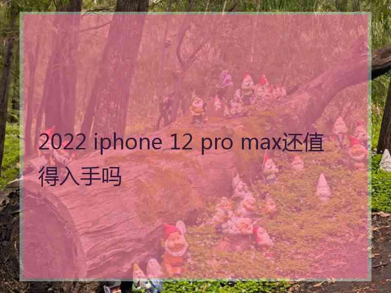 2022 iphone 12 pro max还值得入手吗