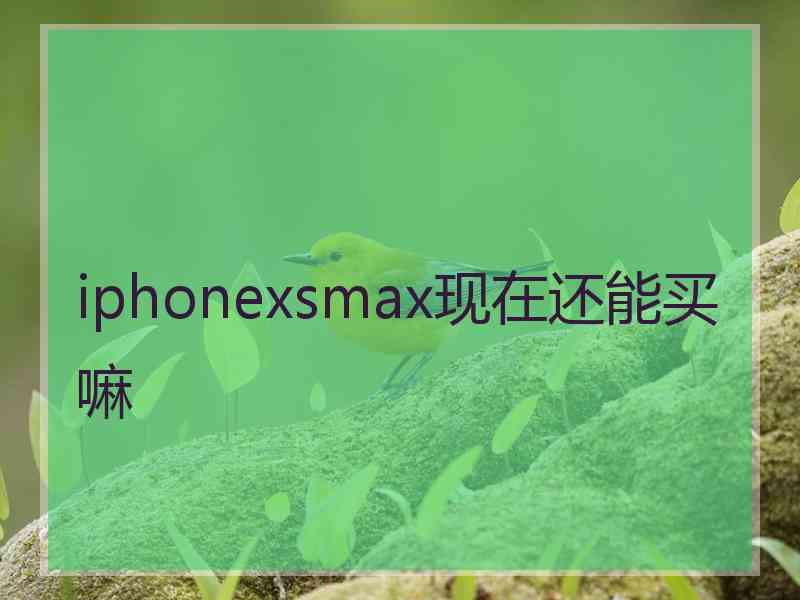 iphonexsmax现在还能买嘛