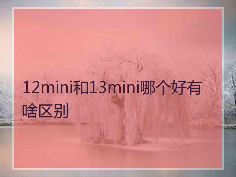 12mini和13mini哪个好有啥区别