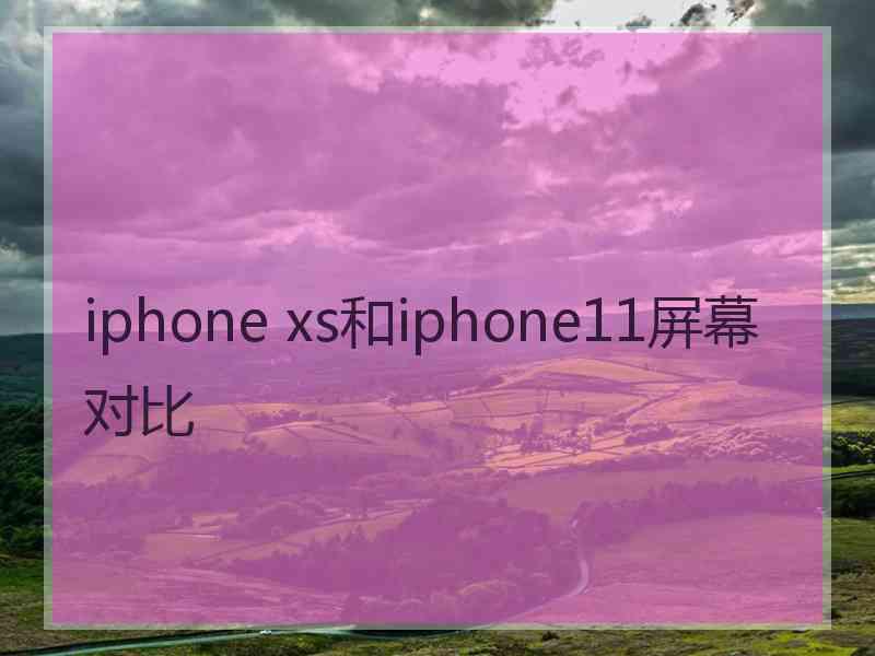 iphone xs和iphone11屏幕对比