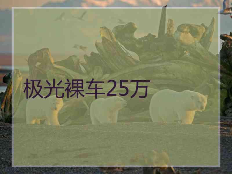 极光裸车25万