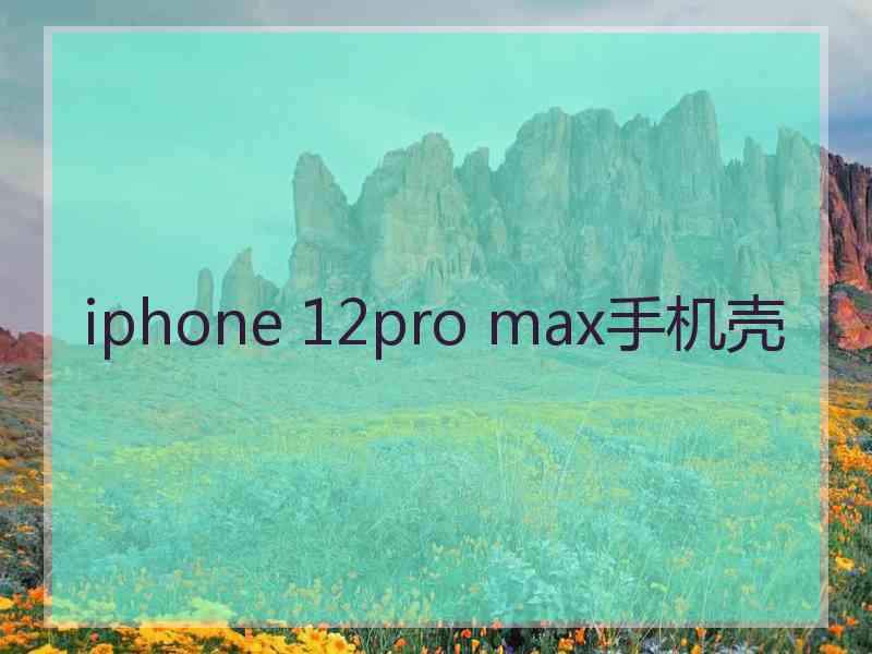 iphone 12pro max手机壳