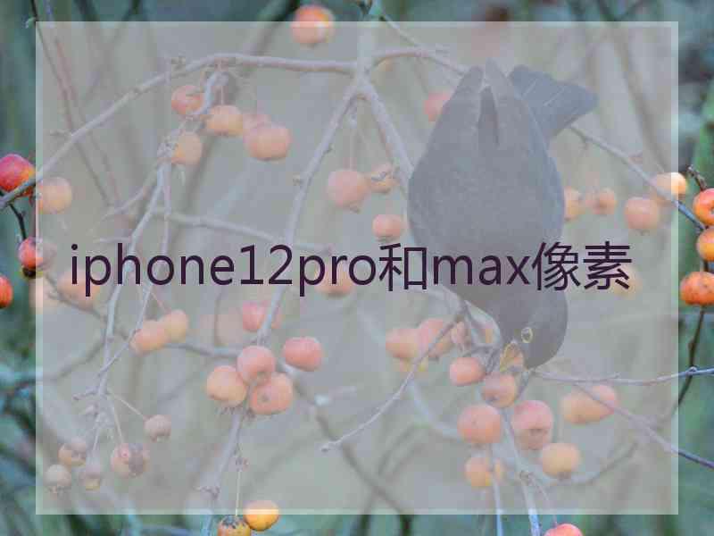 iphone12pro和max像素