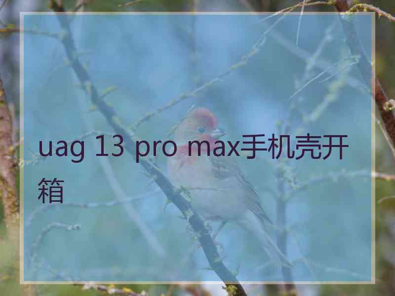 uag 13 pro max手机壳开箱