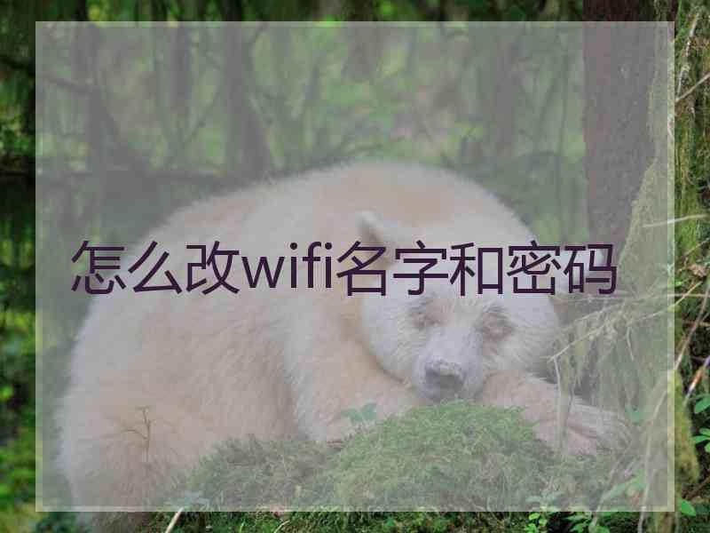 怎么改wifi名字和密码