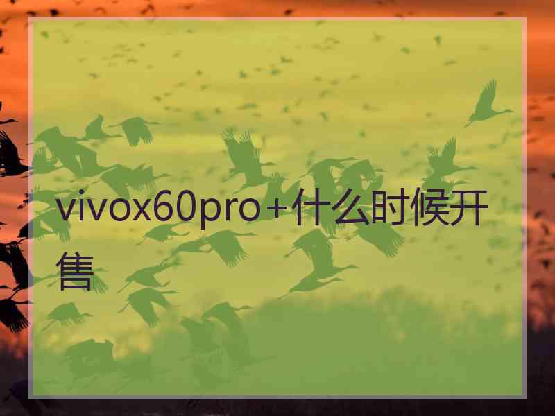 vivox60pro+什么时候开售