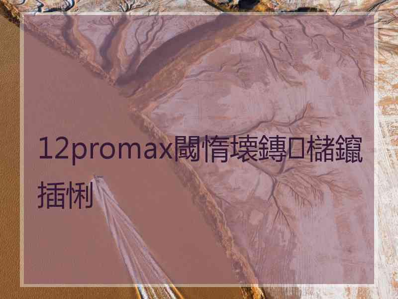 12promax閾惰壊鏄櫧鑹插悧