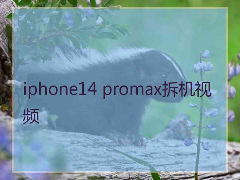 iphone14 promax拆机视频