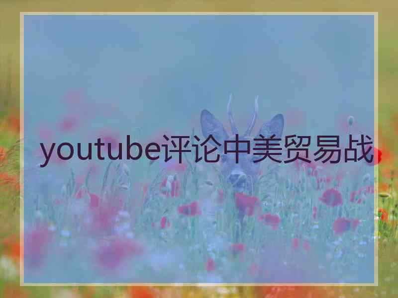 youtube评论中美贸易战