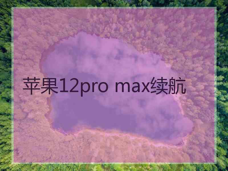 苹果12pro max续航