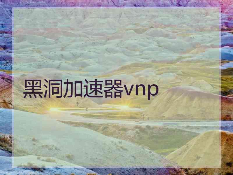 黑洞加速器vnp