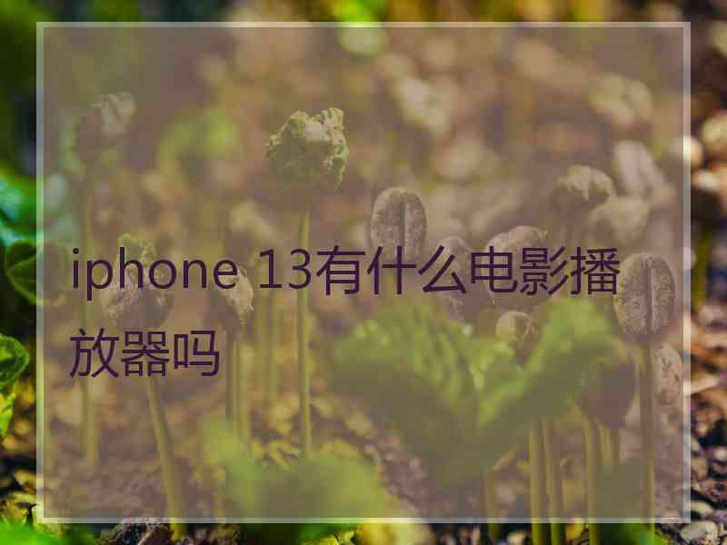 iphone 13有什么电影播放器吗