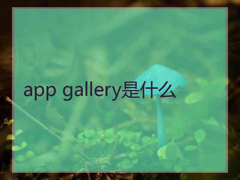 app gallery是什么