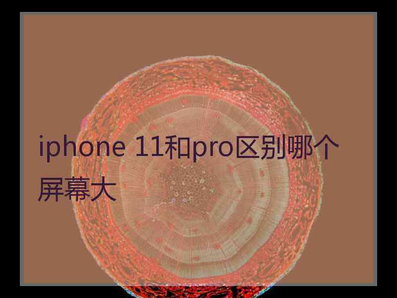 iphone 11和pro区别哪个屏幕大