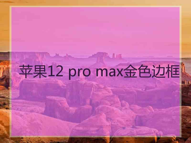 苹果12 pro max金色边框