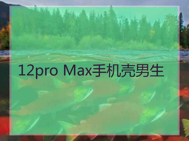 12pro Max手机壳男生