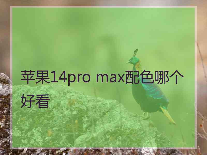 苹果14pro max配色哪个好看