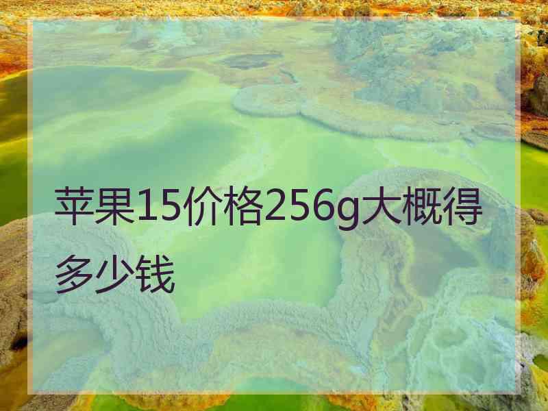 苹果15价格256g大概得多少钱