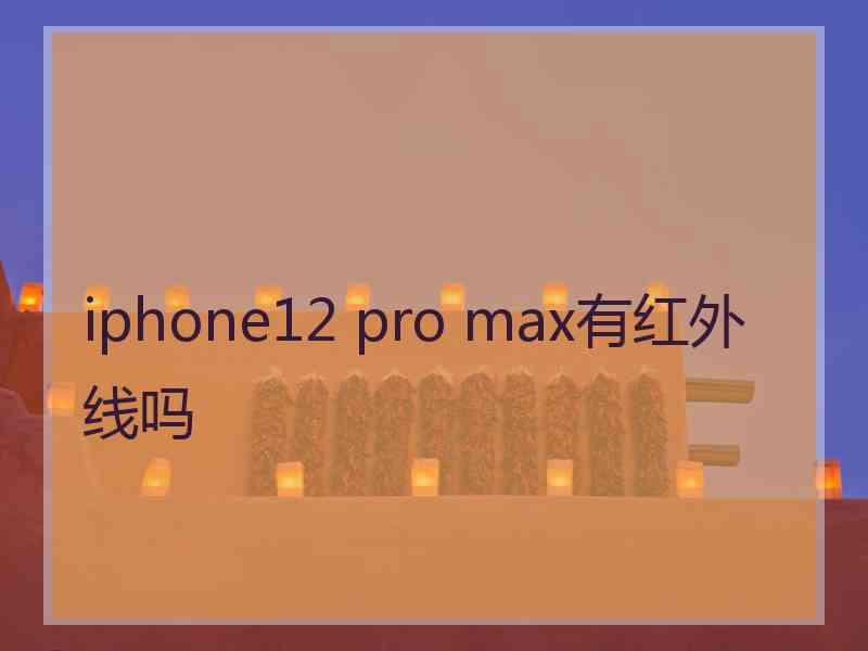 iphone12 pro max有红外线吗