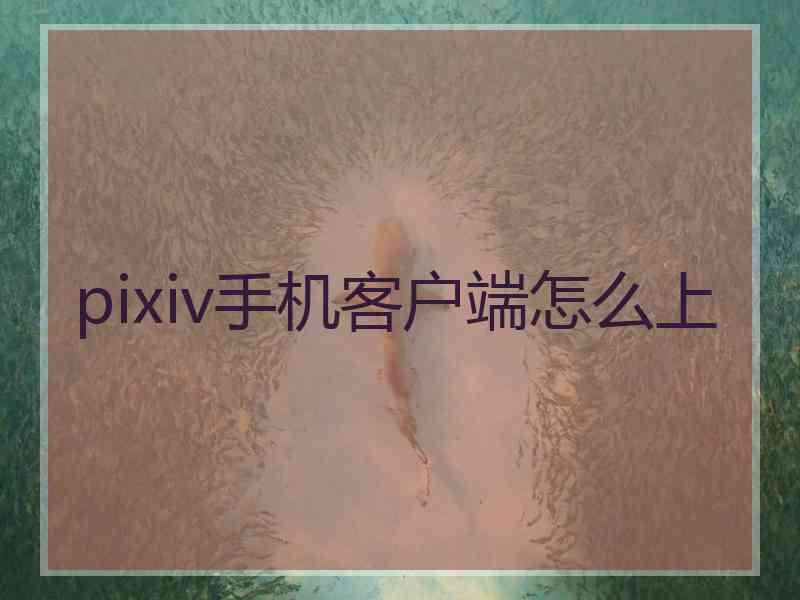 pixiv手机客户端怎么上