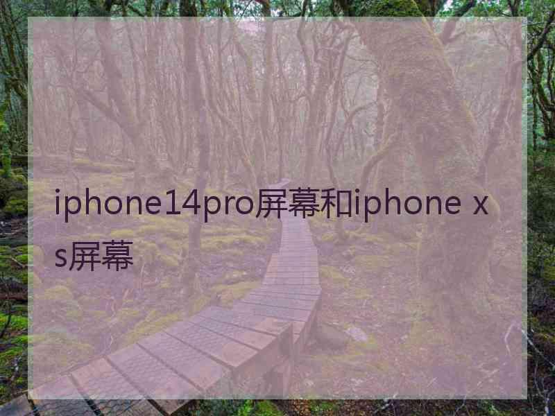 iphone14pro屏幕和iphone xs屏幕