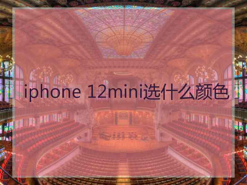 iphone 12mini选什么颜色