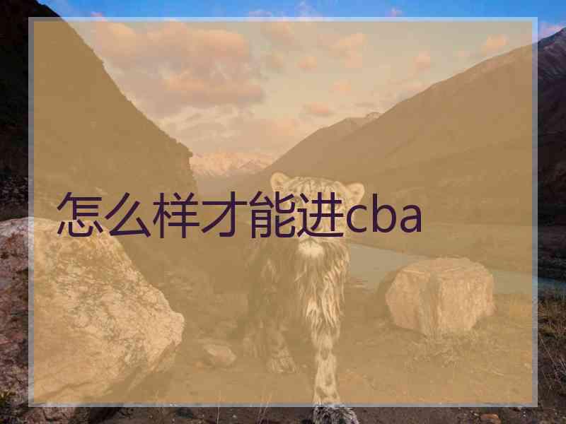 怎么样才能进cba