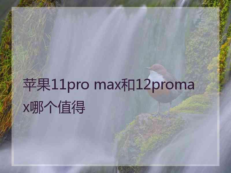 苹果11pro max和12promax哪个值得