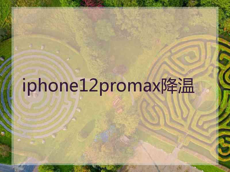 iphone12promax降温