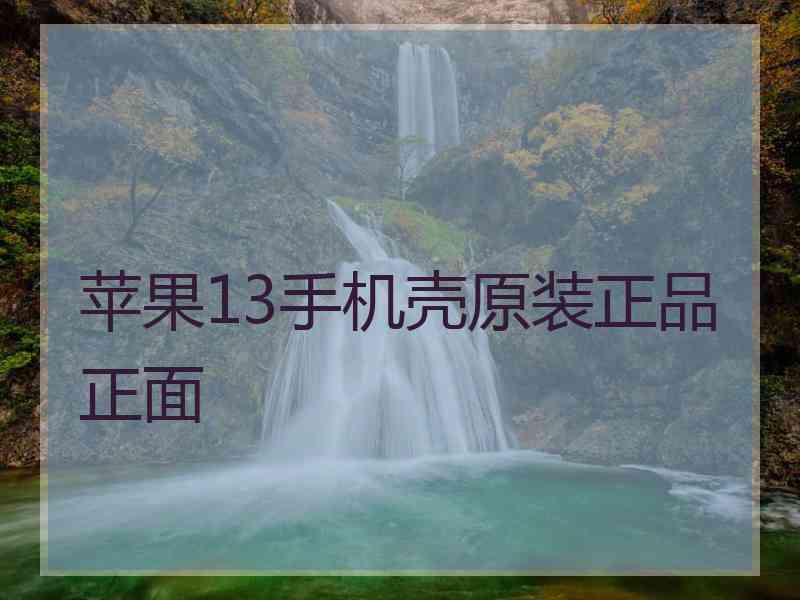 苹果13手机壳原装正品正面