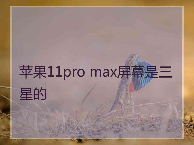 苹果11pro max屏幕是三星的