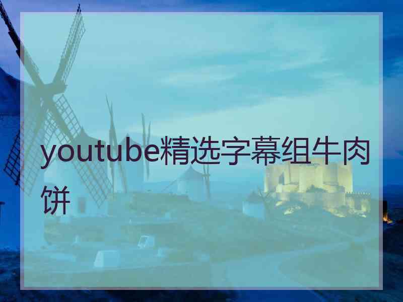 youtube精选字幕组牛肉饼