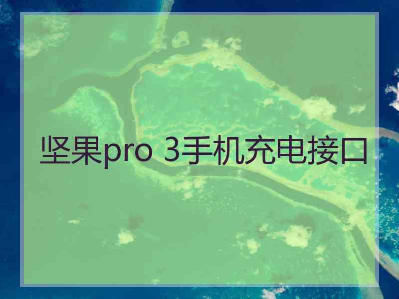 坚果pro 3手机充电接口